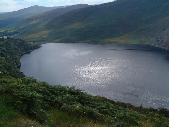 A dark lake with fern-covered hills on the nearside and bare hills on the far side